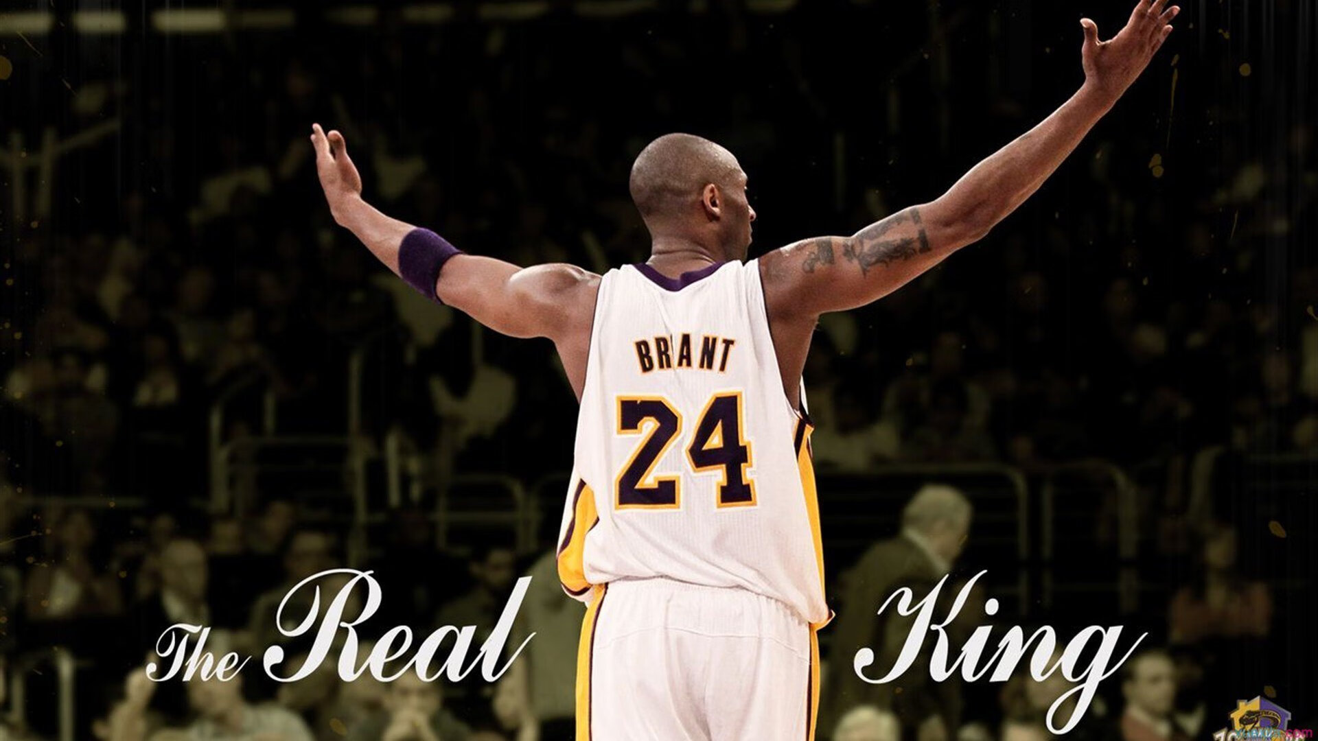 硬仗淬真金！梅西一锤定音，阿根廷力克安哥拉展露冠军相